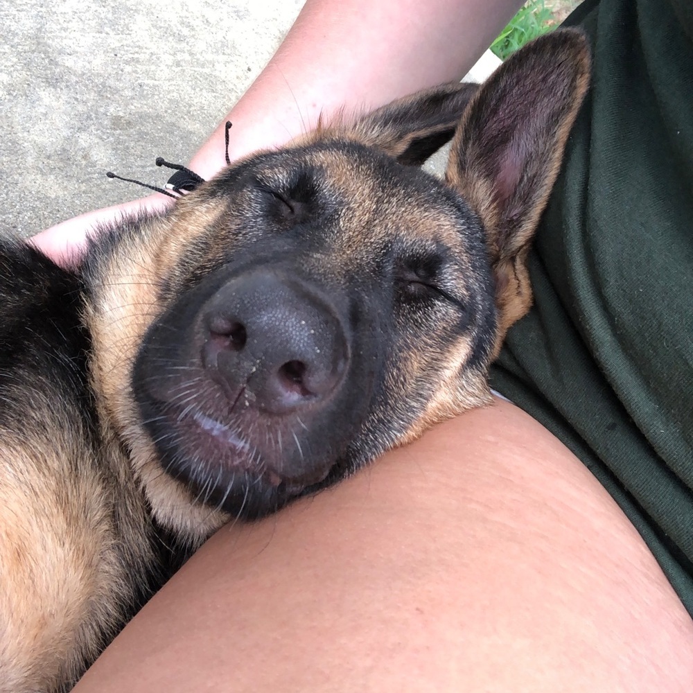 Meet your Posher, Destiny